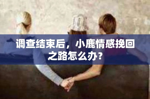 调查结束后，小鹿情感挽回之路怎么办？