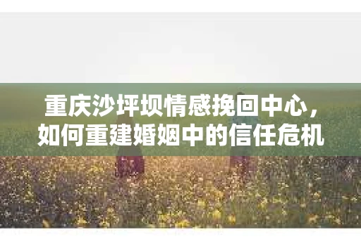 重庆沙坪坝情感挽回中心，如何重建婚姻中的信任危机？