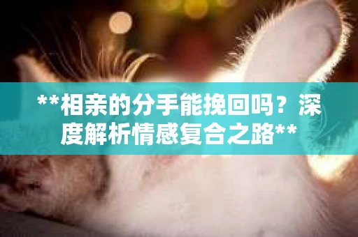 **相亲的分手能挽回吗？深度解析情感复合之路**