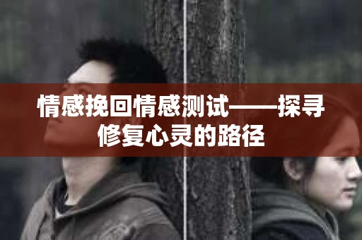 情感挽回情感测试——探寻修复心灵的路径