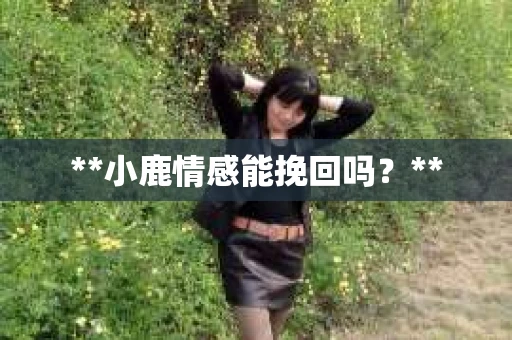 **小鹿情感能挽回吗？**