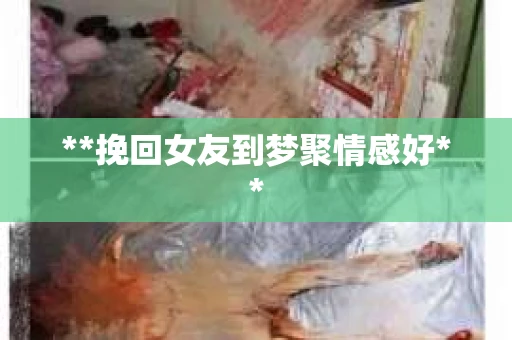 **挽回女友到梦聚情感好**