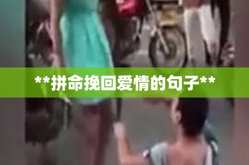 **拼命挽回爱情的句子**