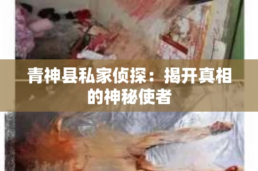 青神县私家侦探：揭开真相的神秘使者