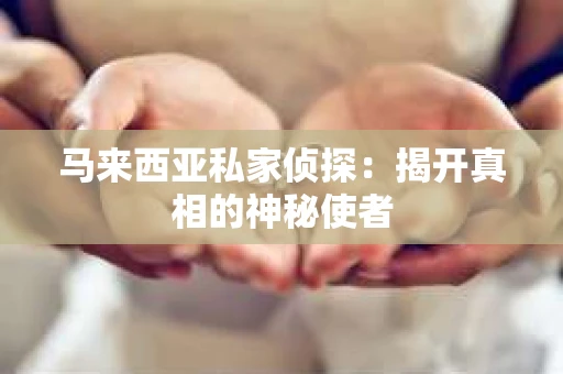 马来西亚私家侦探：揭开真相的神秘使者