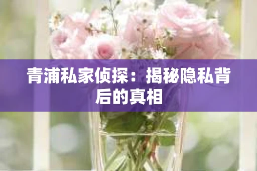 青浦私家侦探：揭秘隐私背后的真相