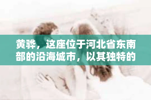 黄骅，这座位于河北省东南部的沿海城市，以其独特的地理位置和丰富的历史文化而闻名。然而，在这座城市中，还有一群人，他们以另一种方式默默守护着社会的公平与正义——私家侦探。今天，我们就来聊聊黄骅的私家侦探，看看他们是如何在这个城市中发挥作用的。
