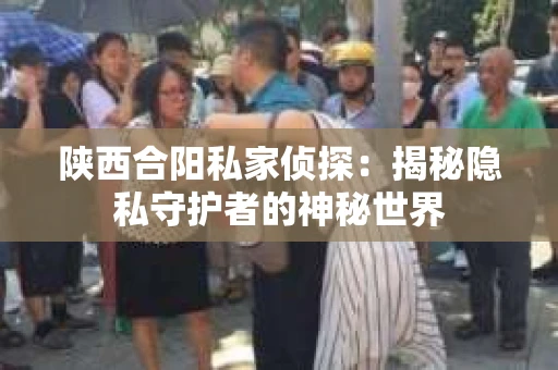陕西合阳私家侦探：揭秘隐私守护者的神秘世界