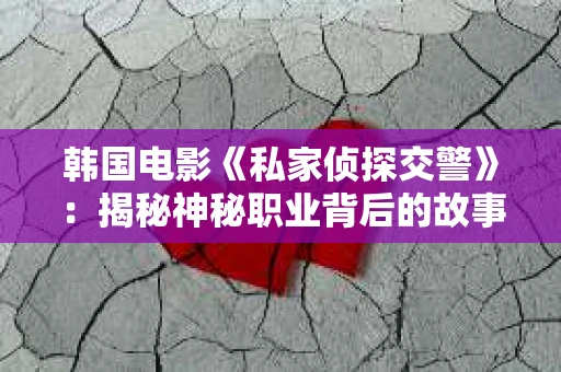 韩国电影《私家侦探交警》：揭秘神秘职业背后的故事