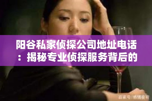 阳谷私家侦探公司地址电话：揭秘专业侦探服务背后的故事