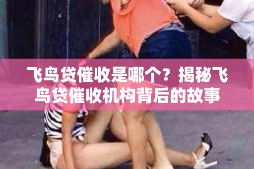 飞鸟贷催收是哪个？揭秘飞鸟贷催收机构背后的故事