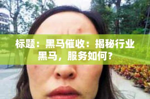 标题：黑马催收：揭秘行业黑马，服务如何？