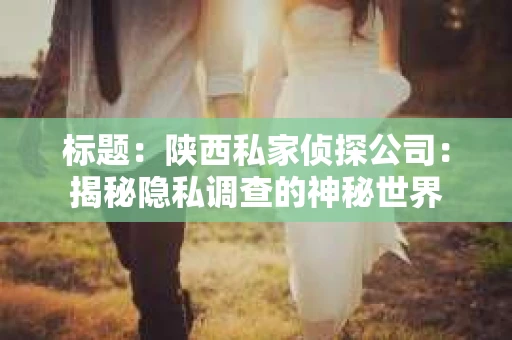 标题：陕西私家侦探公司：揭秘隐私调查的神秘世界