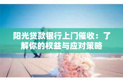 阳光贷款银行上门催收：了解你的权益与应对策略