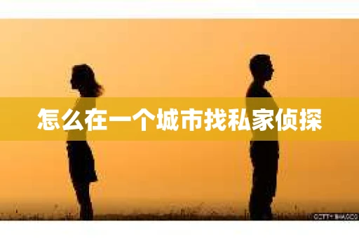 怎么在一个城市找私家侦探