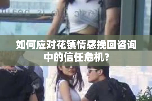 如何应对花镇情感挽回咨询中的信任危机？