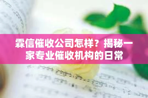霖信催收公司怎样？揭秘一家专业催收机构的日常