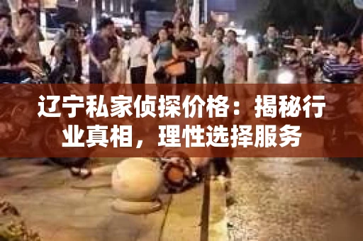 辽宁私家侦探价格：揭秘行业真相，理性选择服务