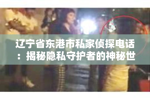 辽宁省东港市私家侦探电话：揭秘隐私守护者的神秘世界