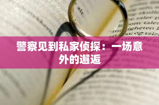 警察见到私家侦探：一场意外的邂逅