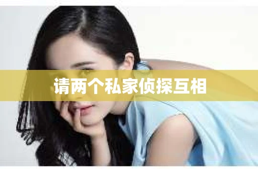 请两个私家侦探互相