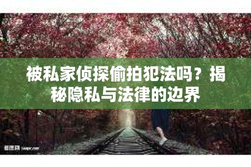 被私家侦探偷拍犯法吗？揭秘隐私与法律的边界