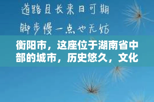 衡阳市，这座位于湖南省中部的城市，历史悠久，文化底蕴深厚。随着社会的发展，人们对于个人隐私的保护意识逐渐增强，私家侦探机构也应运而生。那么，衡阳市是否有私家侦探机构呢？今天，我们就来聊聊这个话题。