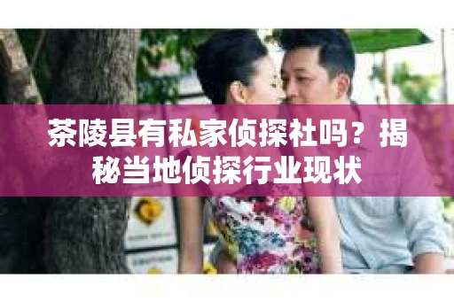茶陵县有私家侦探社吗？揭秘当地侦探行业现状