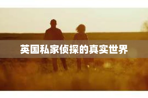 英国私家侦探的真实世界