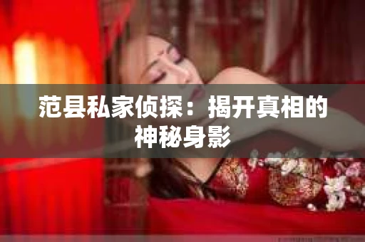 范县私家侦探：揭开真相的神秘身影