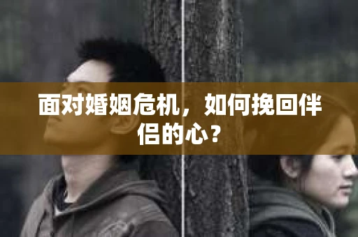 面对婚姻危机,如何挽回伴侣的心? 面对婚姻危机,如何挽回伴侣的心?