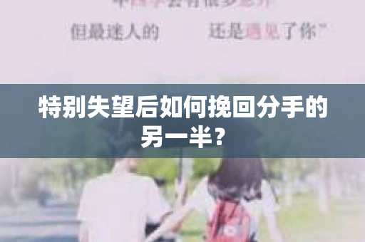 特别失望后如何挽回分手的另一半？