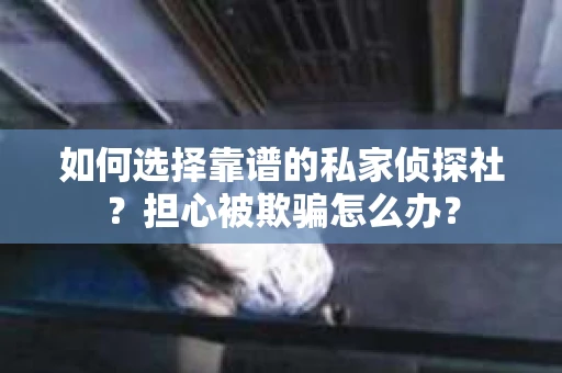 如何选择靠谱的私家侦探社？担心被欺骗怎么办？