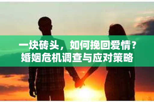 一块砖头，如何挽回爱情？婚姻危机调查与应对策略