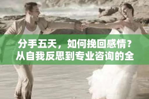 分手五天，如何挽回感情？从自我反思到专业咨询的全面解决方案