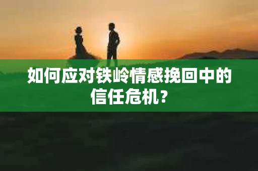 如何应对铁岭情感挽回中的信任危机？