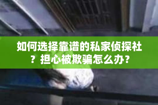 如何选择靠谱的私家侦探社？担心被欺骗怎么办？