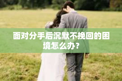 面对分手后沉默不挽回的困境怎么办？