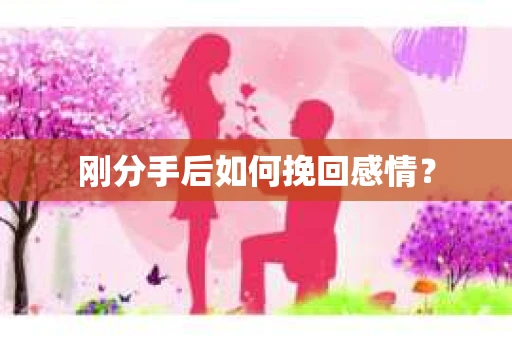 刚分手后如何挽回感情？